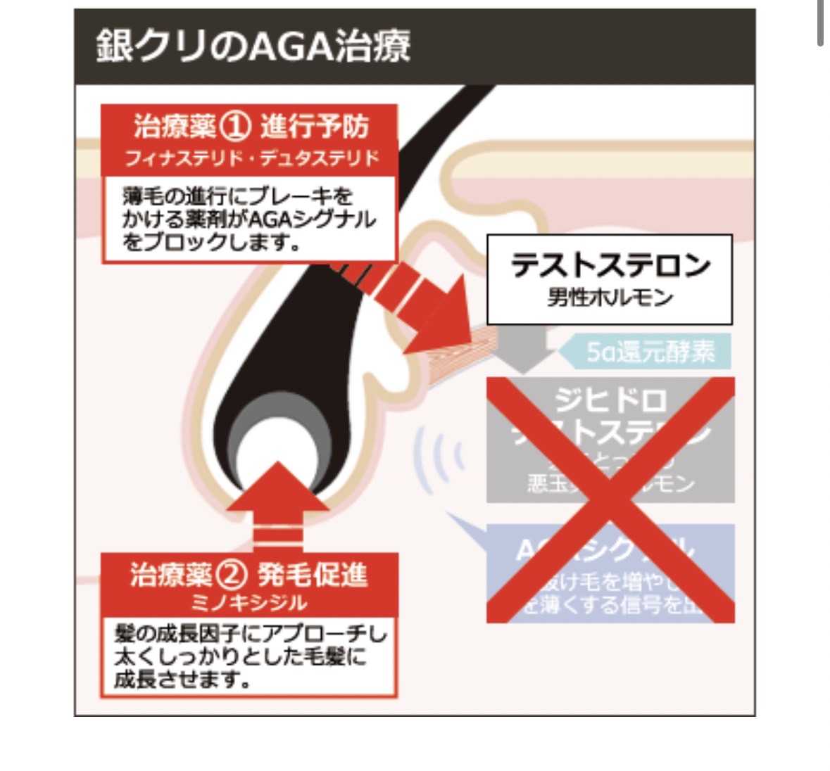 低価格の治療が用意